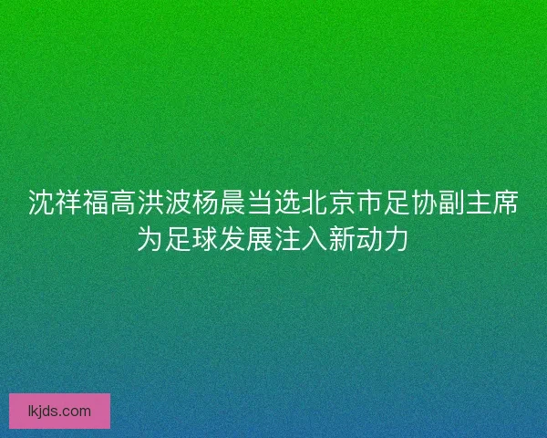 沈祥福高洪波杨晨当选北京市足协副主席为足球发展注入新动力